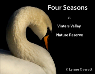 Four Seasons at Vinters Valley Nature Reserve Book Cover