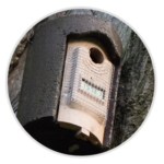 nimble_asset_Notused-1-1-1