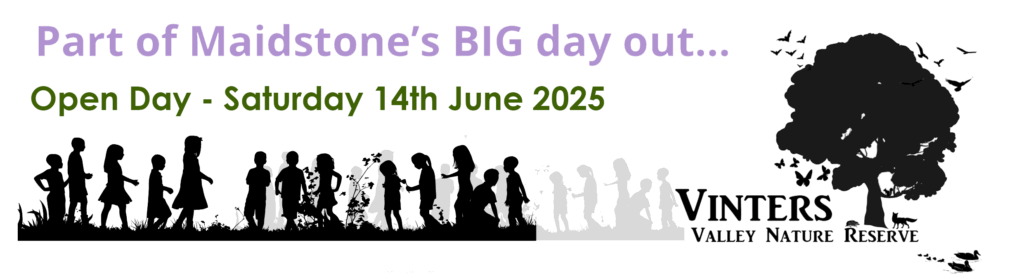 Open Day Banner